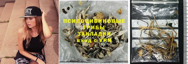 СК Балахна