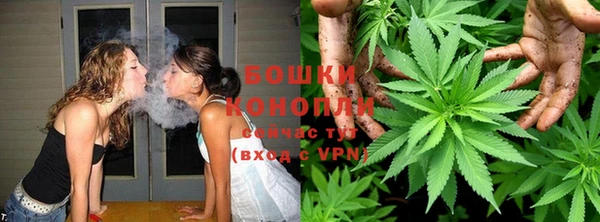 шишки Козловка